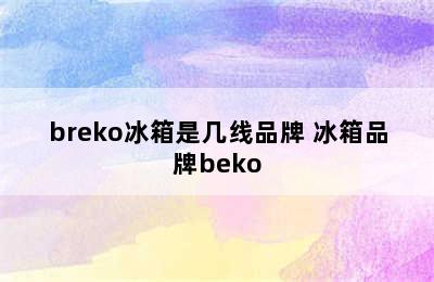 breko冰箱是几线品牌 冰箱品牌beko